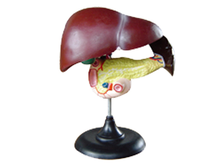 SD-093 33216ʮ֬cKģ